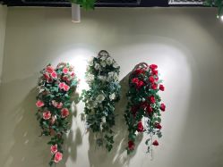 -变美丽半永久纹眉连锁·机器野生眉•洗眉