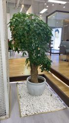 -P.STYLE派斯造型