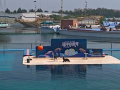 -秦皇岛乐岛海洋王国