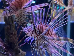 -海合安天津极地海洋公园