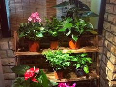 -慢丽江·云南野生菌土鸡锅(付家庄店)