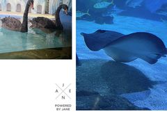 -常州海昌海洋探索馆