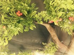 -蕃茄述·好汤自然来(江汉路店)