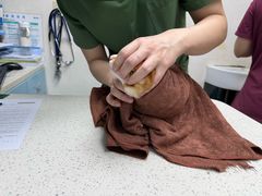 -瑞鹏·疫苗·绝育·宠物医院(金沙洲店)