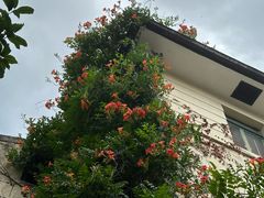 -中国蓝印花布馆