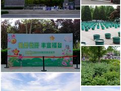 -莲花池公园
