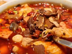渝信毛血旺-渝信川菜·川味家常菜(新辰里亚运村店)