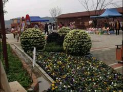 -绵阳盛世樱花悠乐谷