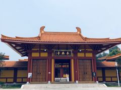 -三水森林公园