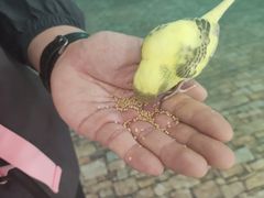 -上海大自然野生昆虫馆