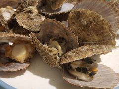 -沿海渔家院蒸汽海鲜·东北菜(东戴河店)