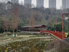 -重庆彩云湖湿地公园