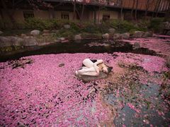 -理想国摄影(三塔店)