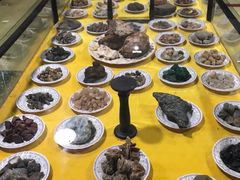 -游龙石文化科普馆