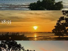 -宝安西湾红树林湿地公园