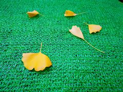 -昆明东站水果交易市场