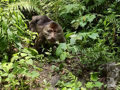 -西岭雪山大飞水景区