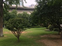 -白沙古井
