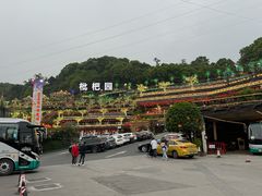 -枇杷园食为鲜火锅(南山店)
