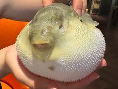 -肆月河豚·淮扬菜·湘菜(华天店)