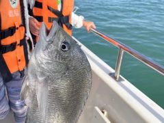 -鑫艋游艇海钓俱乐部