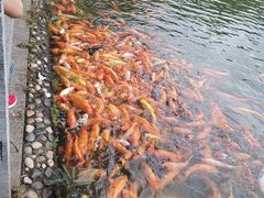 -桃花涧
