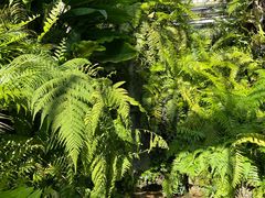 -国家植物园南园