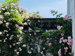 -惠山古镇·寄畅园