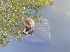 -杭州野生动物世界