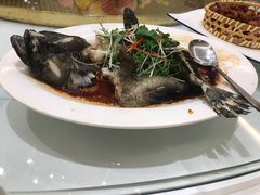 -新梅园不夜粥(龙华店)