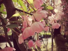 -白塘生态植物园