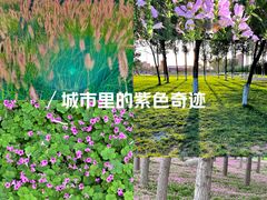 -汉长安城未央宫国家考古遗址公园