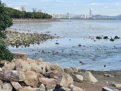 -深圳湾公园(南山区)