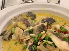 -饭怕鱼·黄焖鲟龙鱼(湖大店)