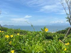 -东澳岛