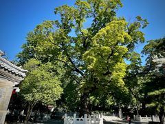 -潭柘寺景区