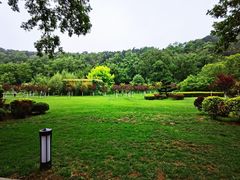 -棒棰岛宾馆景区