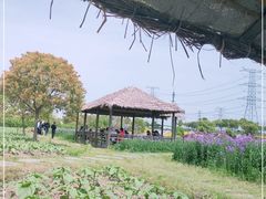 -上海杨姆庄园