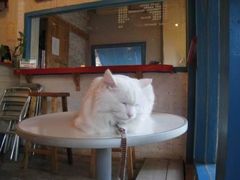 -Babycat私家御饼屋(龙头路一店)