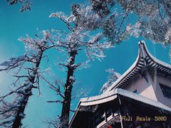 -瓦屋山景区