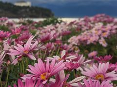 -南诏风情岛