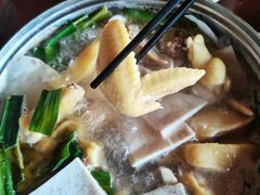 -万兴启丰椰子文化园餐厅