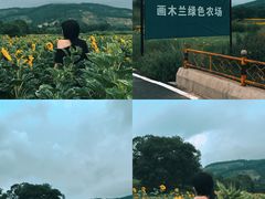 -塞罕坝国家级自然保护区