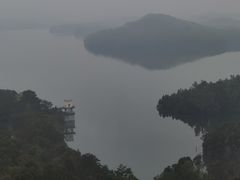 -肥佬夜茶(早茶·西乡店)