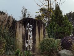 -白鹭湾湿地公园