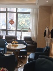 -碧莲盛·不剃发植发