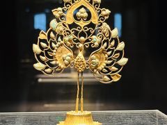 -青海藏文化博物院