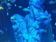 -沈阳海洋探索中心