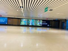-哈尔滨太平国际机场-T2航站楼