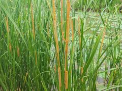 -狼山风景名胜区